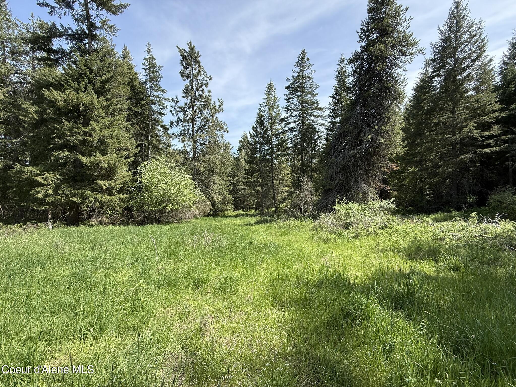 10334 Sanders Road Tensed, ID 83870 - Photo 39 of 69 IMG_8005