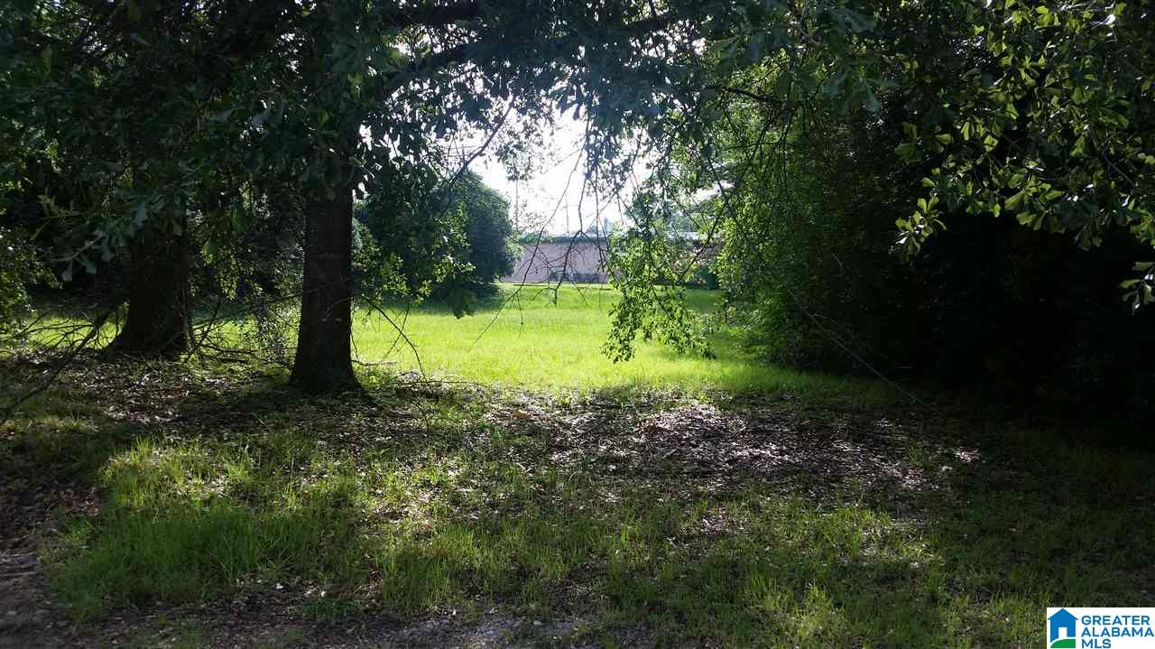 303 Brake Street South, Unit 4 Warrior, AL 35180 - Photo 5 of 6