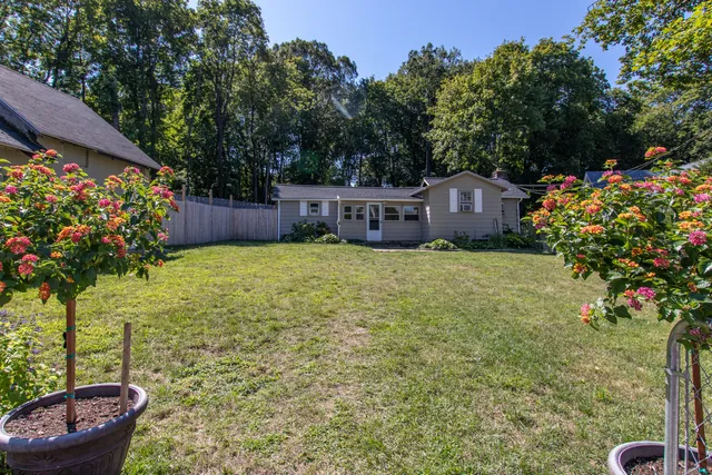 a view of a garden with plants and large trees