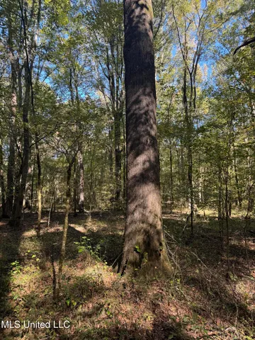 $55,000 | Harristown Road, Carthage, MS 39051