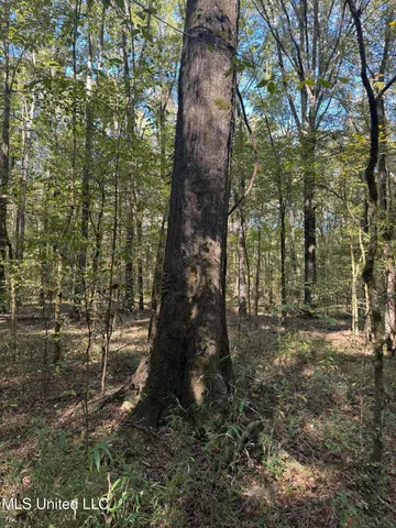 $55,000 | Harristown Road, Carthage, MS 39051