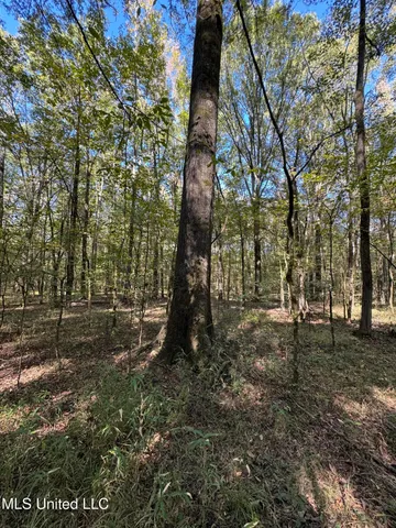 $55,000 | Harristown Road, Carthage, MS 39051