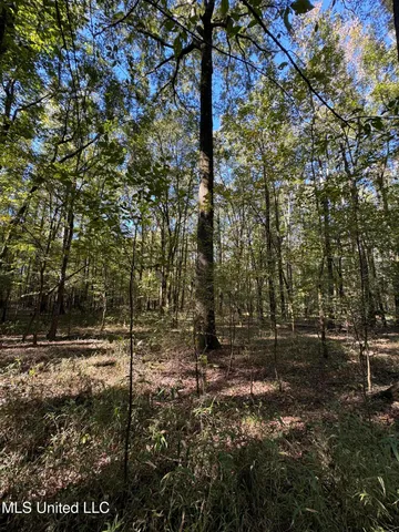 $55,000 | Harristown Road, Carthage, MS 39051