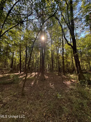 $55,000 | Harristown Road, Carthage, MS 39051