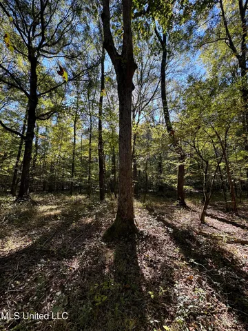 $55,000 | Harristown Road, Carthage, MS 39051