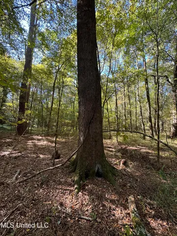 $55,000 | Harristown Road, Carthage, MS 39051