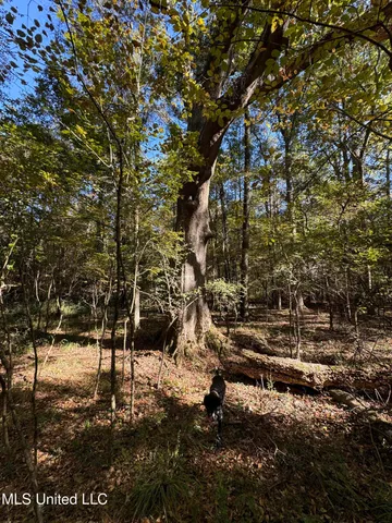 $55,000 | Harristown Road, Carthage, MS 39051