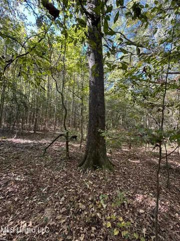 $55,000 | Harristown Road, Carthage, MS 39051