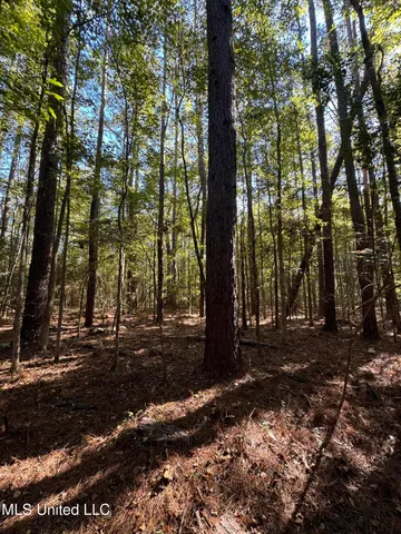 $55,000 | Harristown Road, Carthage, MS 39051