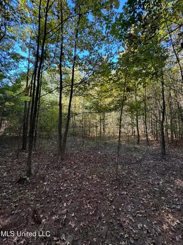 $55,000 | Harristown Road, Carthage, MS 39051