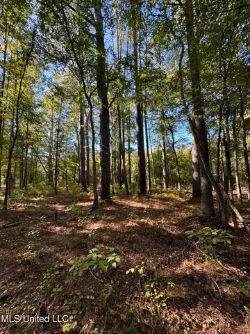 $55,000 | Harristown Road, Carthage, MS 39051