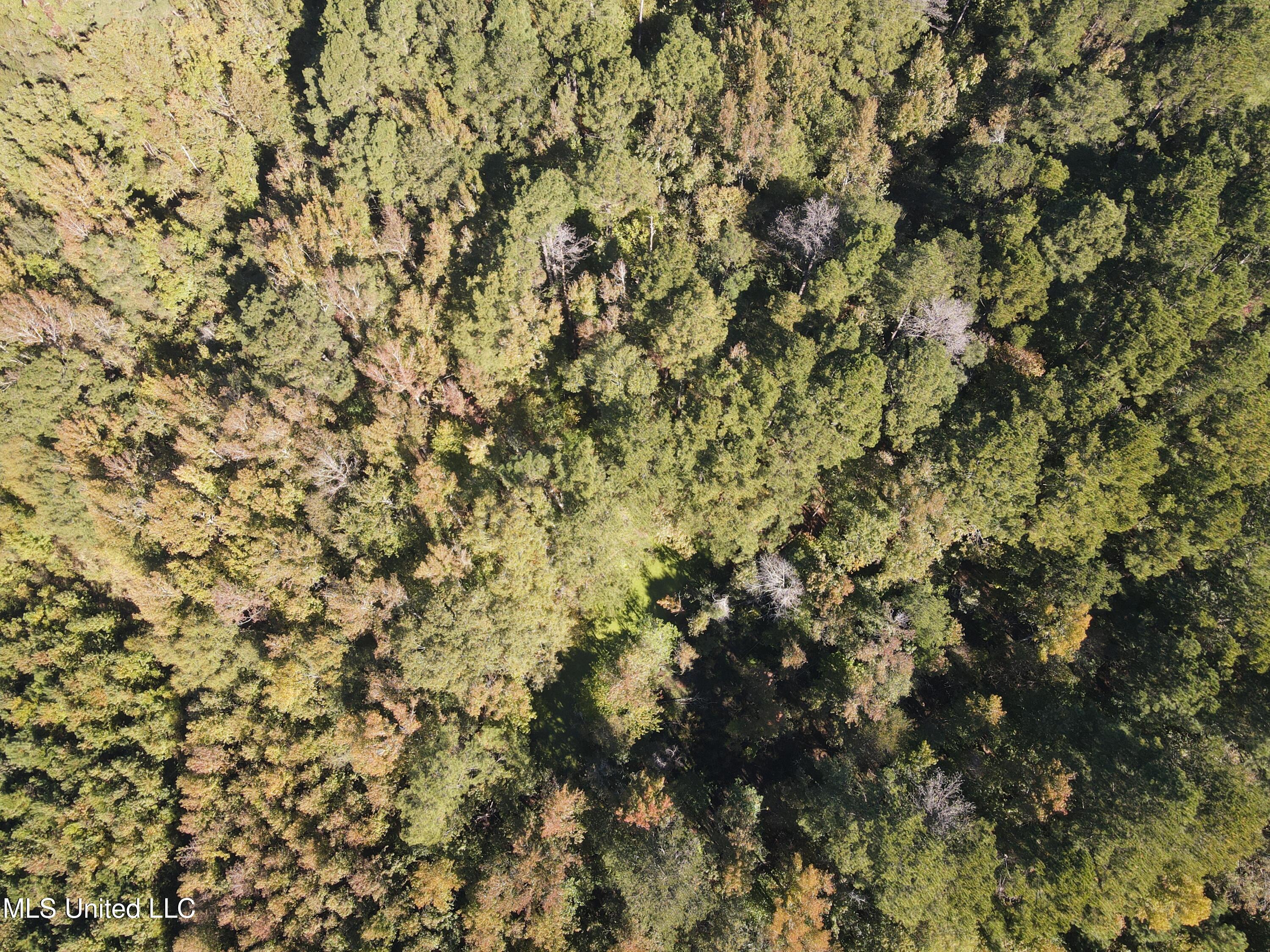 Harristown Road Carthage, MS 39051 - Photo 23 of 28 Photo Oct 22 2024, 10 47 17 AM