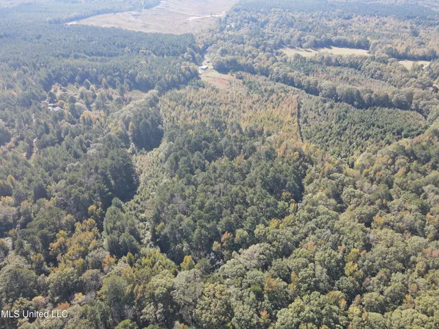 $55,000 | Harristown Road, Carthage, MS 39051