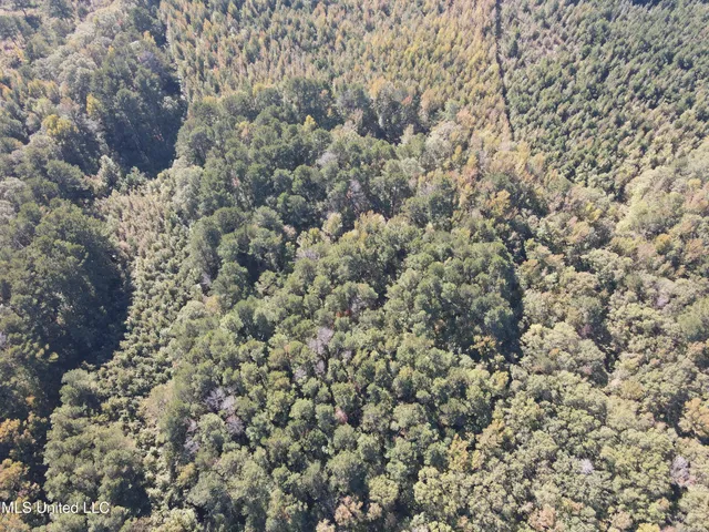 $55,000 | Harristown Road, Carthage, MS 39051