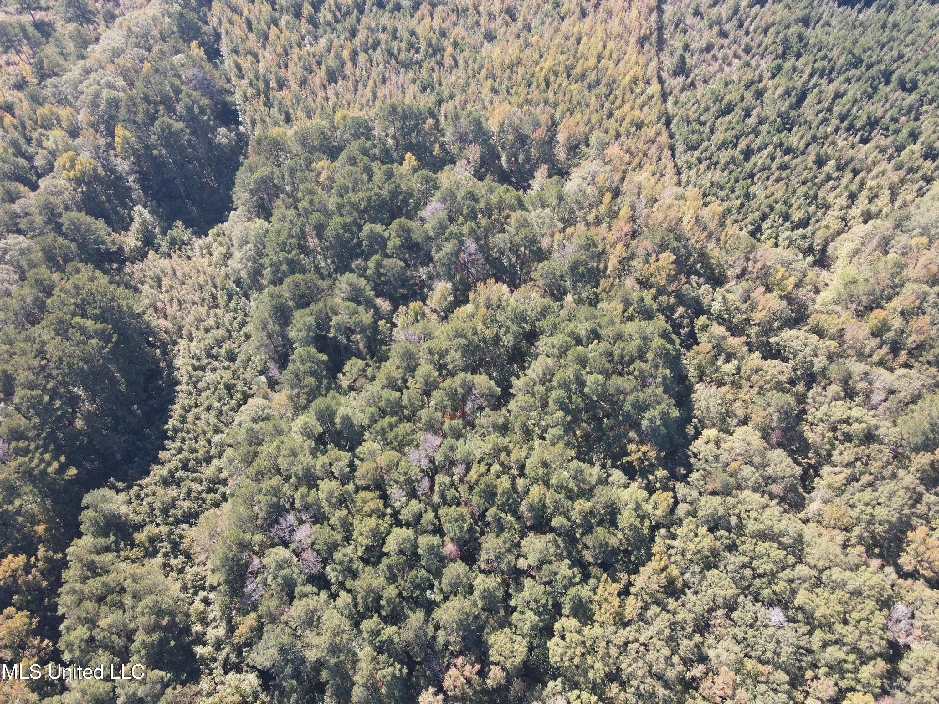 Harristown Road Carthage, MS 39051 - Photo 25 of 28 Photo Oct 22 2024, 10 48 46 AM