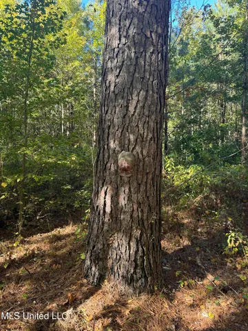 $55,000 | Harristown Road, Carthage, MS 39051