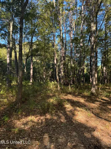 $55,000 | Harristown Road, Carthage, MS 39051