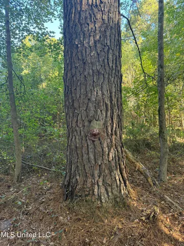 $55,000 | Harristown Road, Carthage, MS 39051