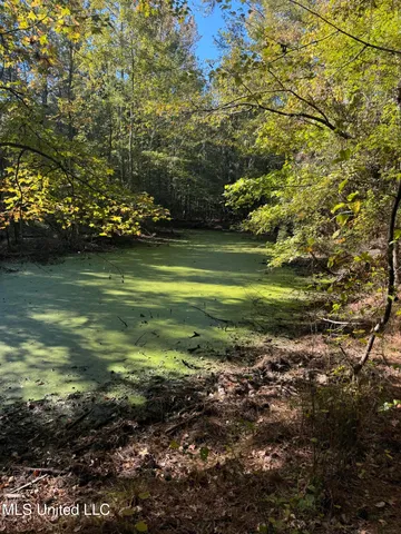 $55,000 | Harristown Road, Carthage, MS 39051