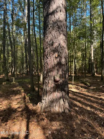 $55,000 | Harristown Road, Carthage, MS 39051