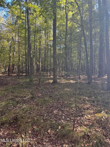 $55,000 | Harristown Road, Carthage, MS 39051