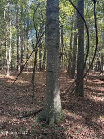 $55,000 | Harristown Road, Carthage, MS 39051