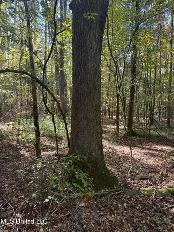 $55,000 | Harristown Road, Carthage, MS 39051