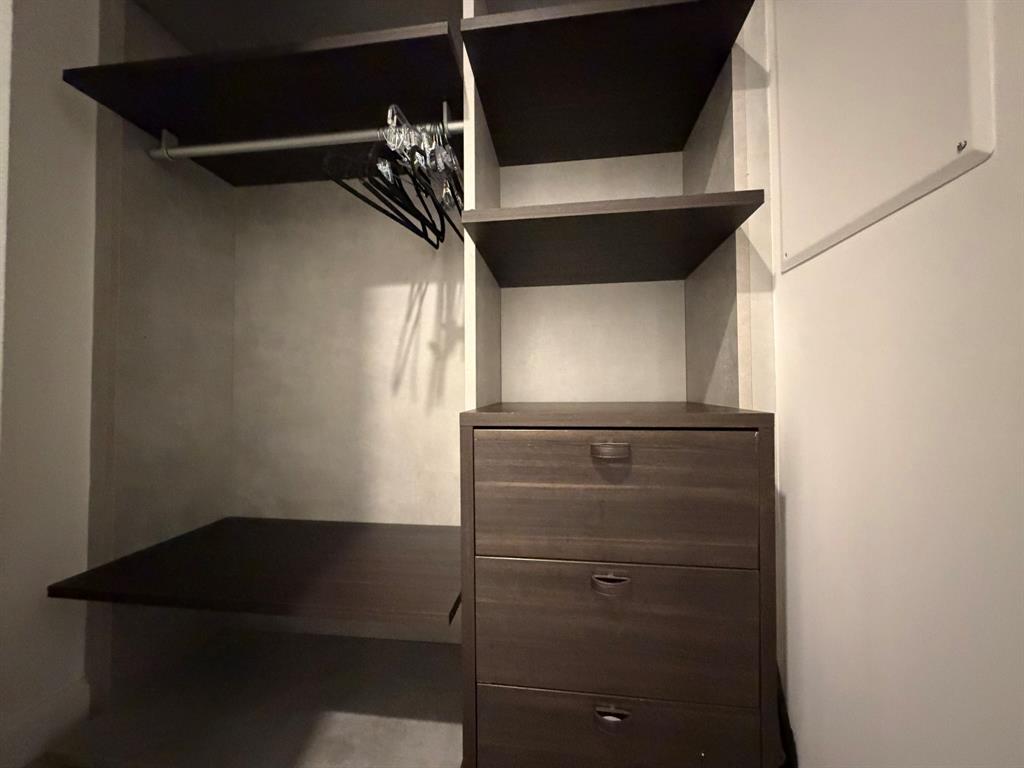 45 Southwest 9th Street, Unit 3110 Miami, FL 33130 - Photo 16 of 19 a close view of closet