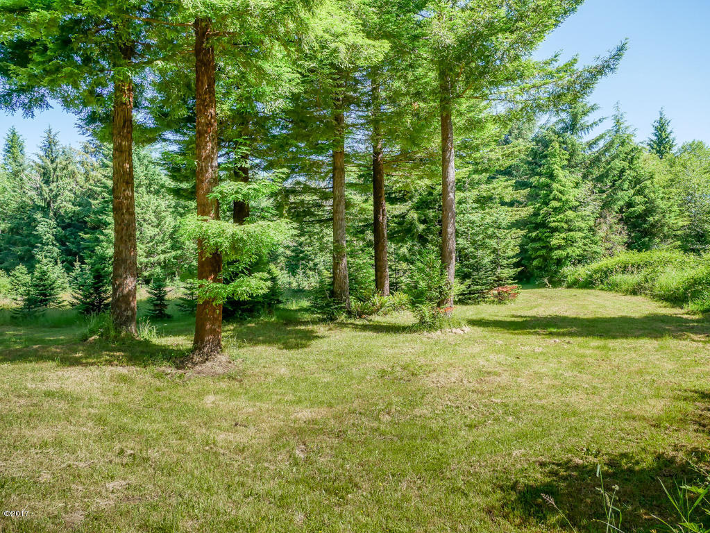 847 Hamer Road Siletz, OR 97380 - Photo 68 of 79 Redwood Tree Grove