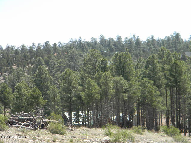1834 Ansell Road Heber, AZ 85928 - Photo 4 of 20 007