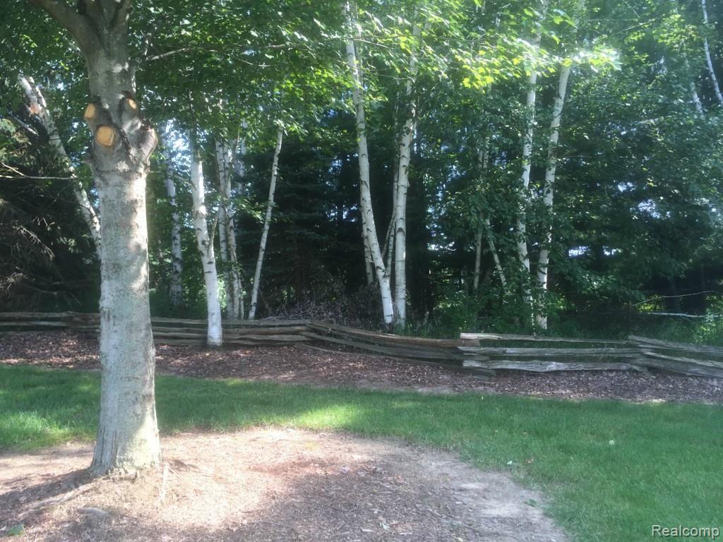 3850 West Oregon Road Lapeer, MI 48446 - Photo 88 of 94 Birch grove outside of master bedroom wing.