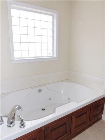310 Indian Springs Circle Manchester, TN 37355 - Photo 21 of 31 a bathroom with a bathtub and window