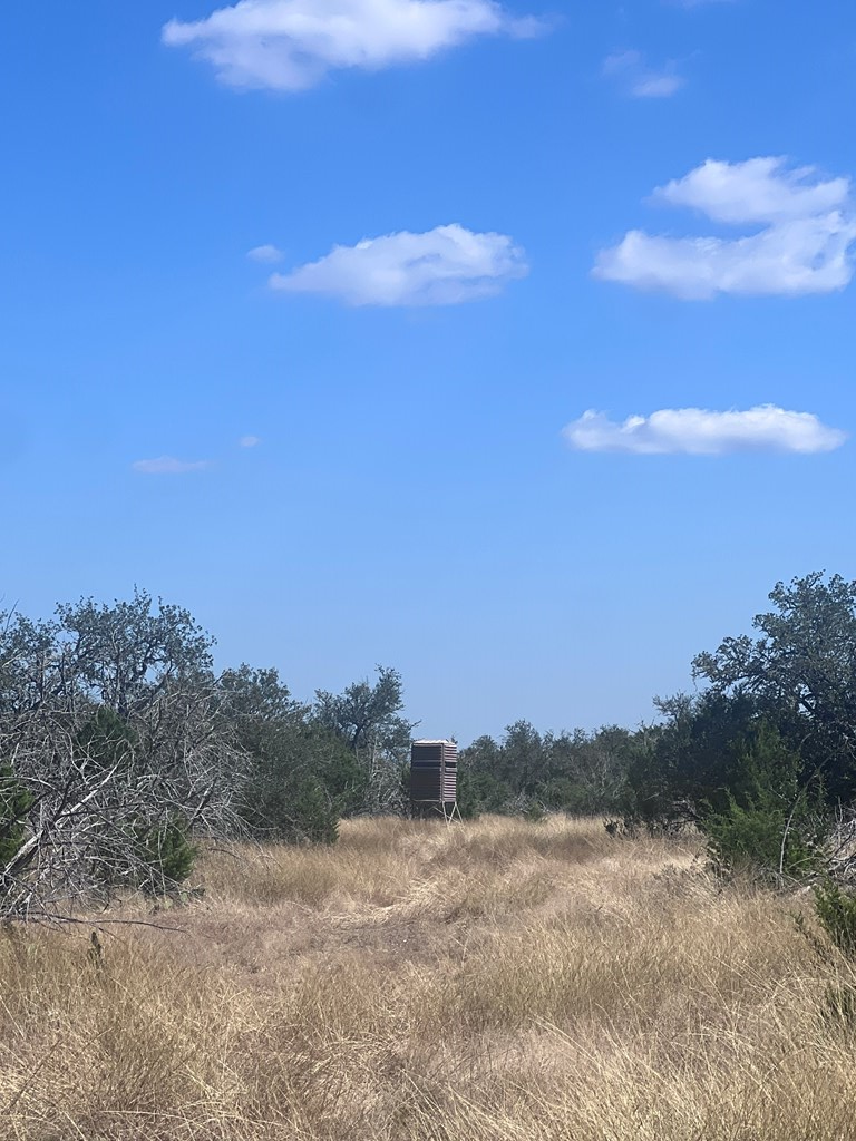 0 Fairview Road Rocksprings, TX 78880 - Photo 10 of 26