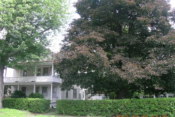 31-33 George Street Westfield, MA 01085 - Photo 2 of 12