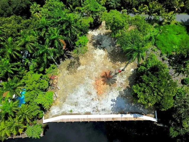a view of yard from a window