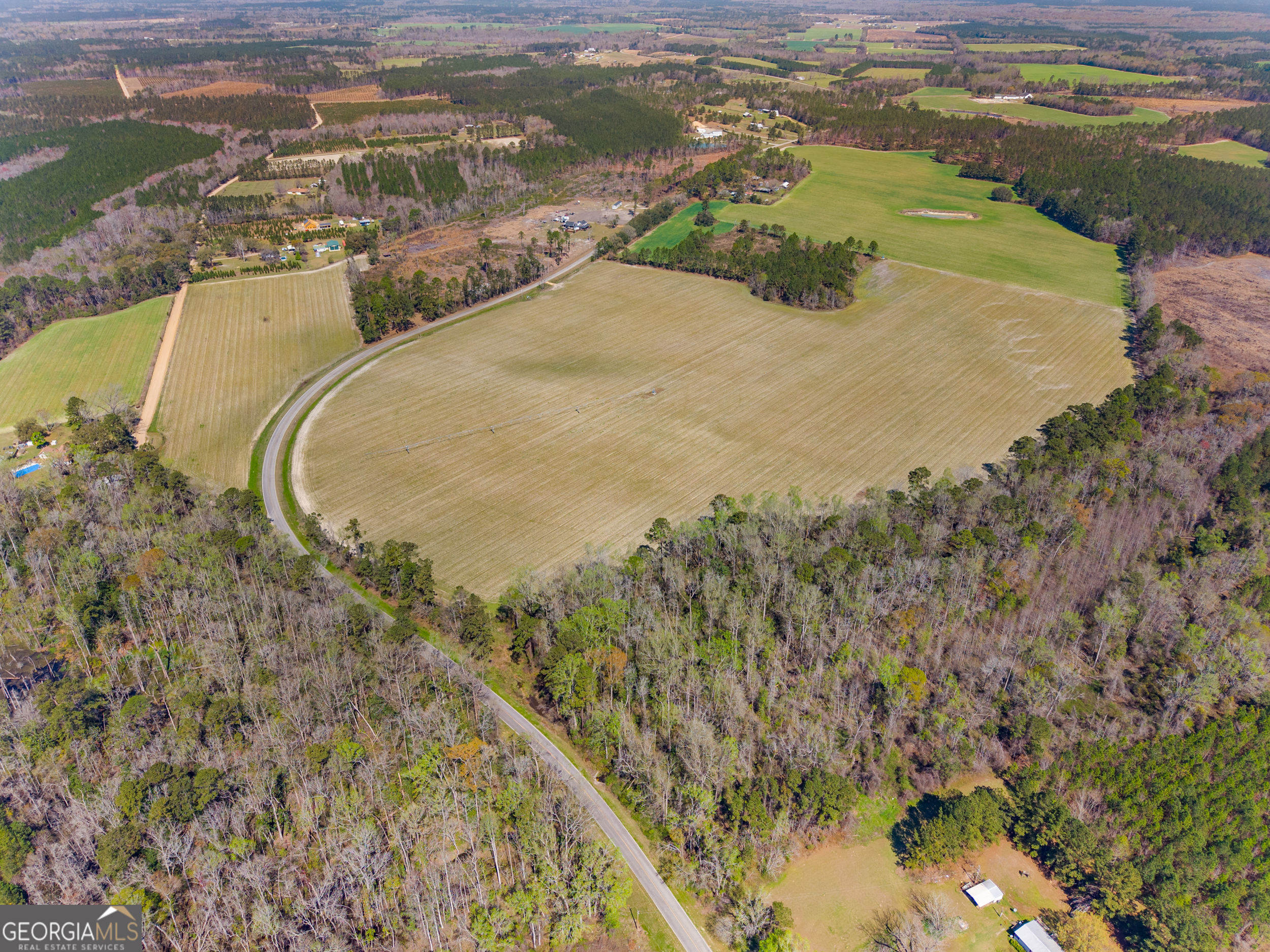 0 Stilson-Leefield Road Brooklet, GA 30415 - Photo 11 of 12