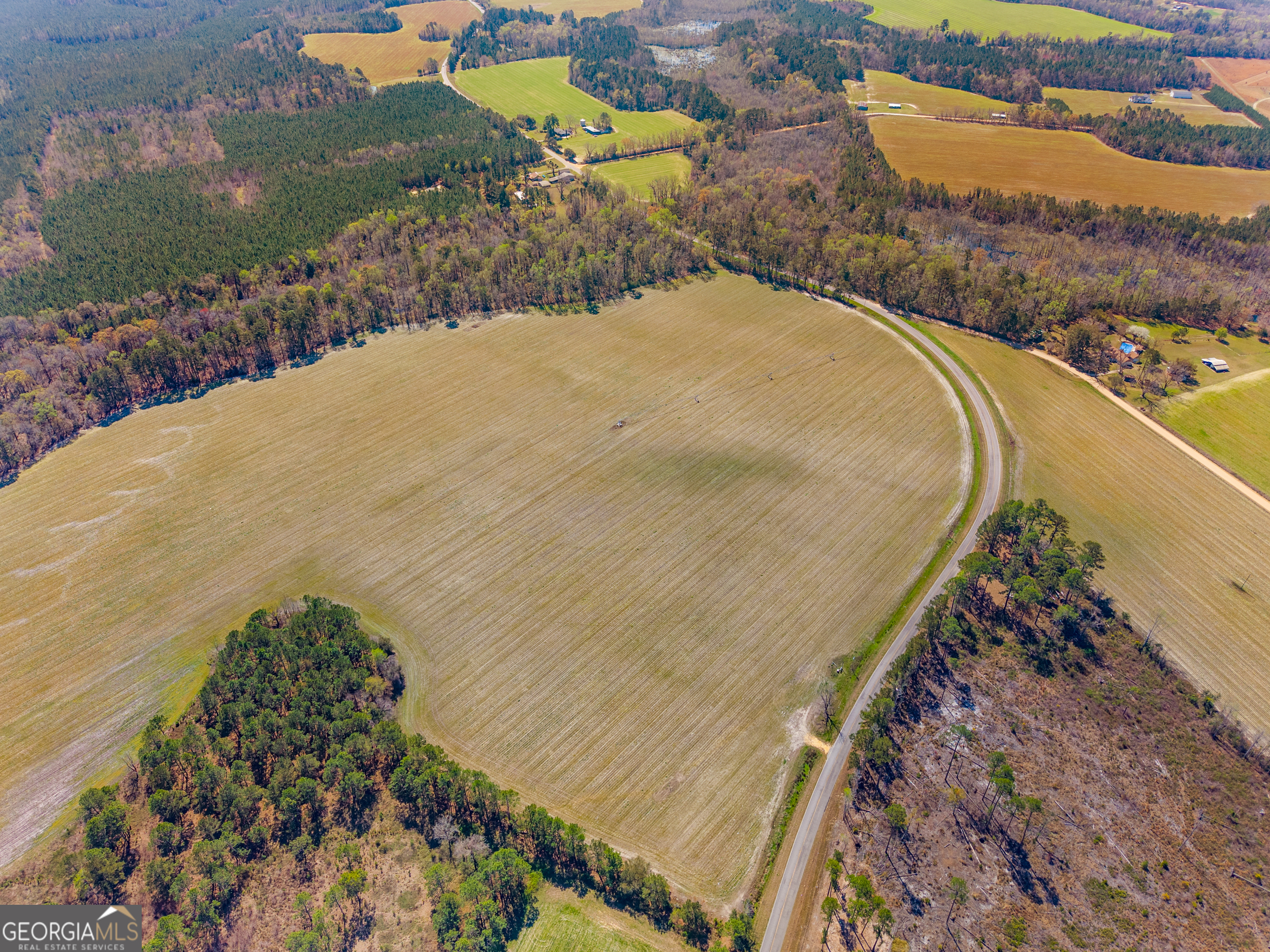 0 Stilson-Leefield Road Brooklet, GA 30415 - Photo 4 of 12