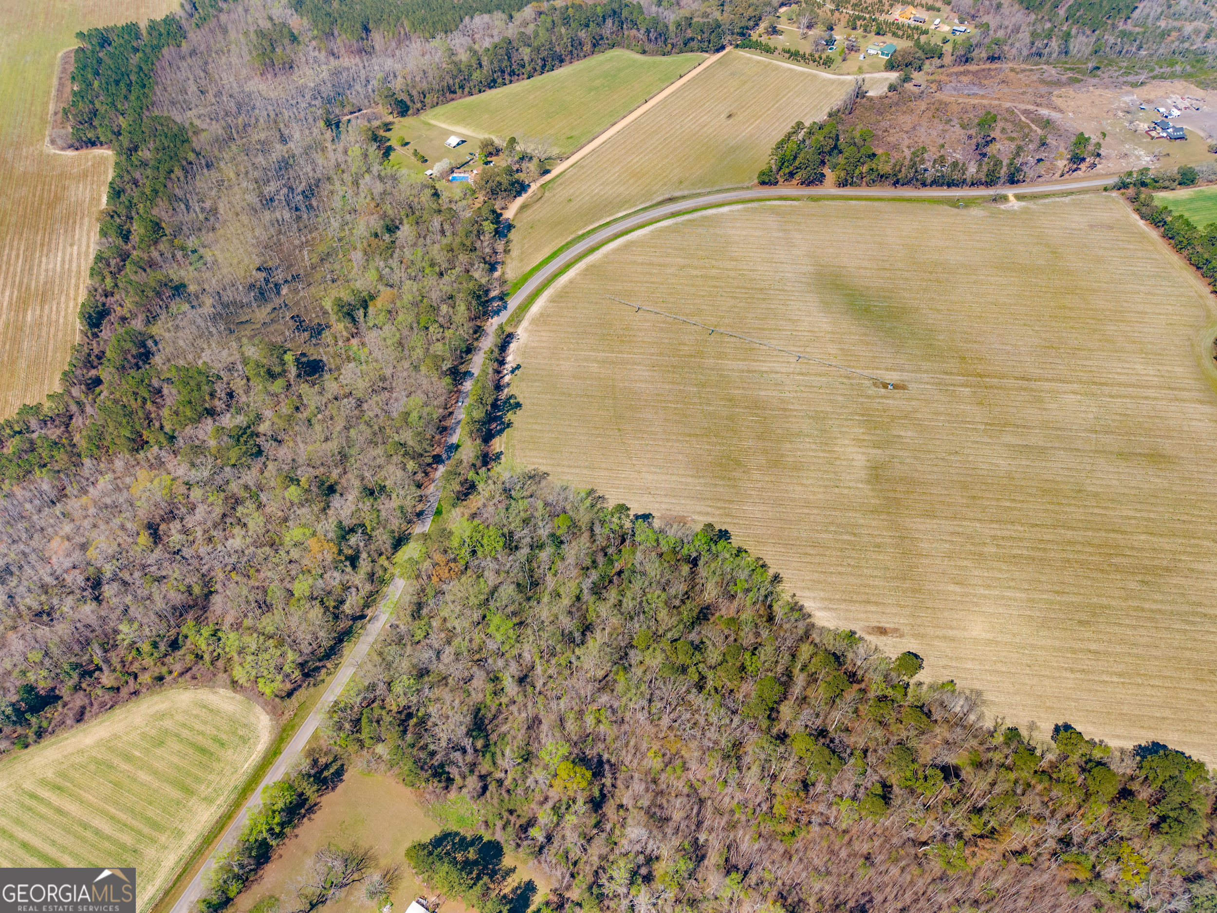 0 Stilson-Leefield Road Brooklet, GA 30415 - Photo 5 of 12