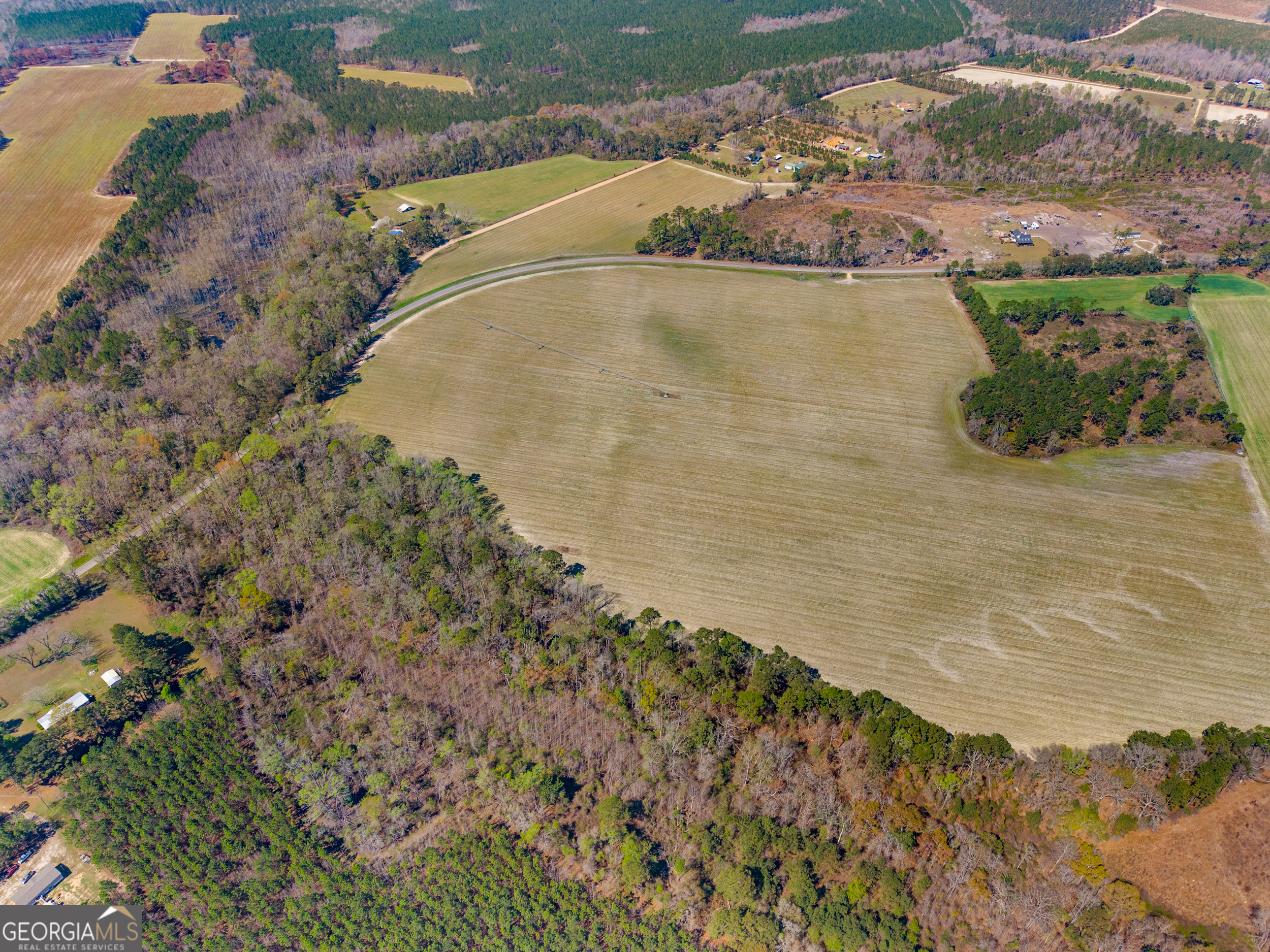 0 Stilson-Leefield Road Brooklet, GA 30415 - Photo 10 of 12