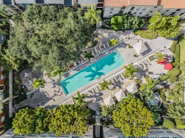 $3,200 | 2410 West Azeele Street, Unit 220, Tampa, FL 33609