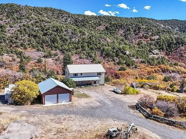 a picture of a yard with a tree