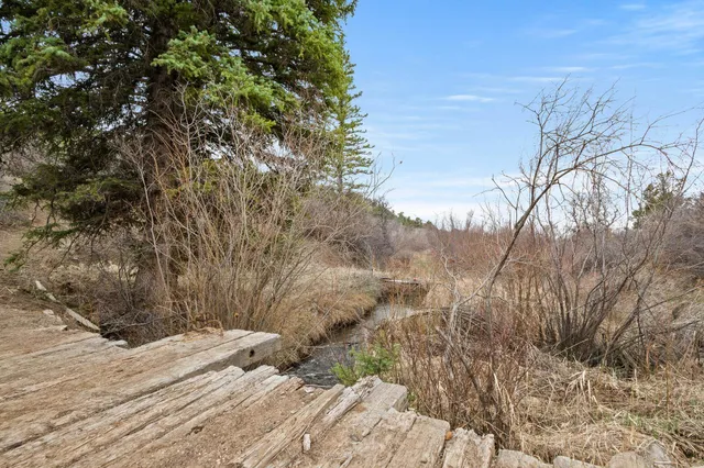 a view of a wooden fence with a tree