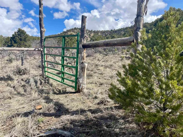 a view of outdoor space