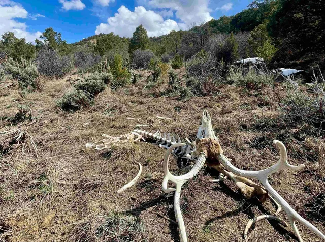 a view of a house with a mountain