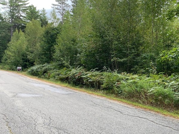 0 Young Road Ashburnham, MA 01430 - Photo 4 of 8