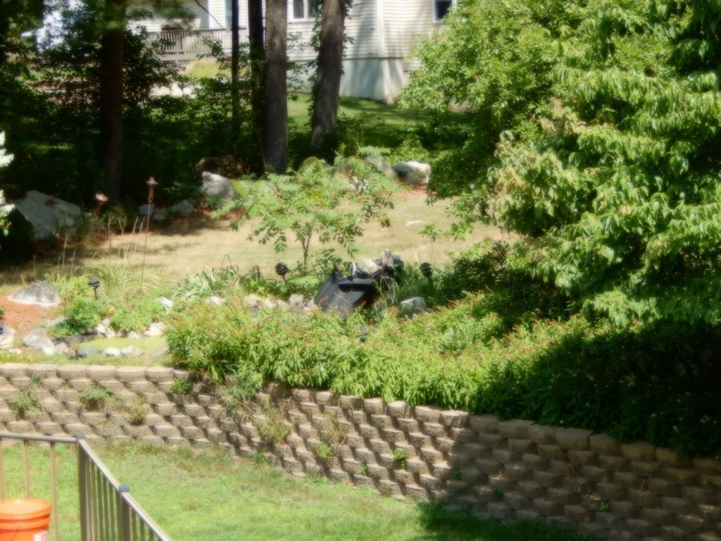 30 Walnut Knolls Canton, MA 02021 - Photo 10 of 12 Gallery Image 10
