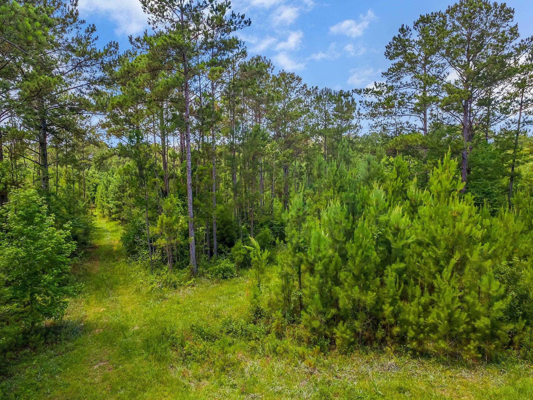 140 David Clemons Road Quincy, FL 32352 - Photo 4 of 39 Gallery Image 4
