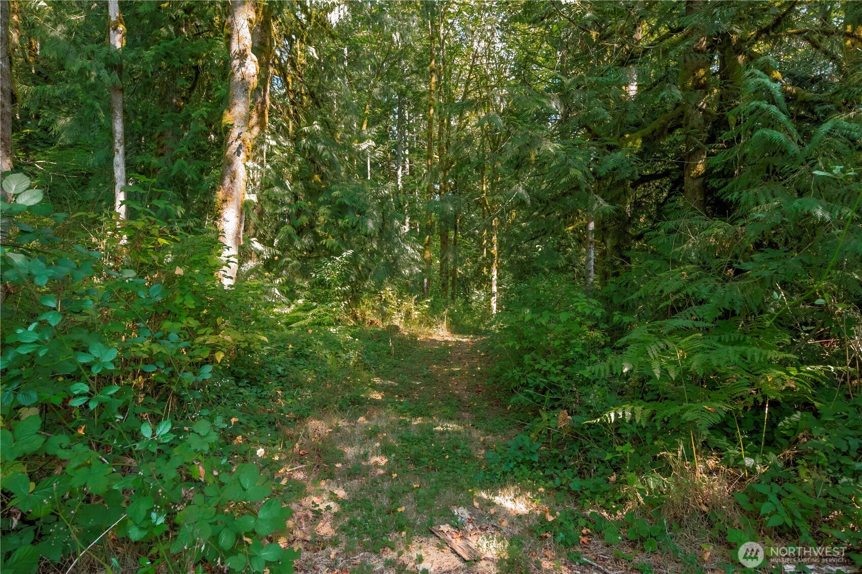 9305 312th Avenue Southeast Issaquah, WA 98027 - Photo 12 of 36