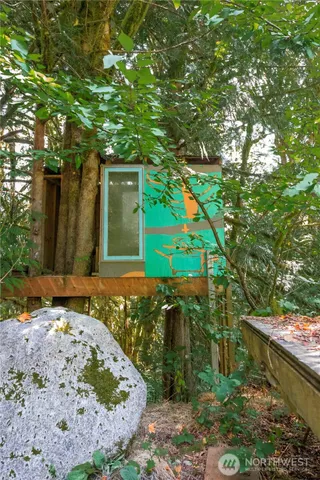 a view of a backyard