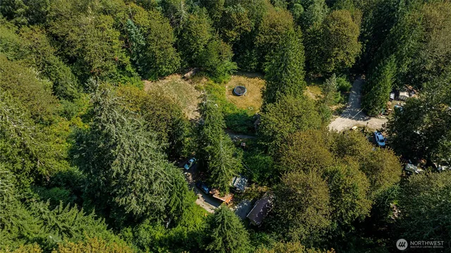 a view of a plant in a garden
